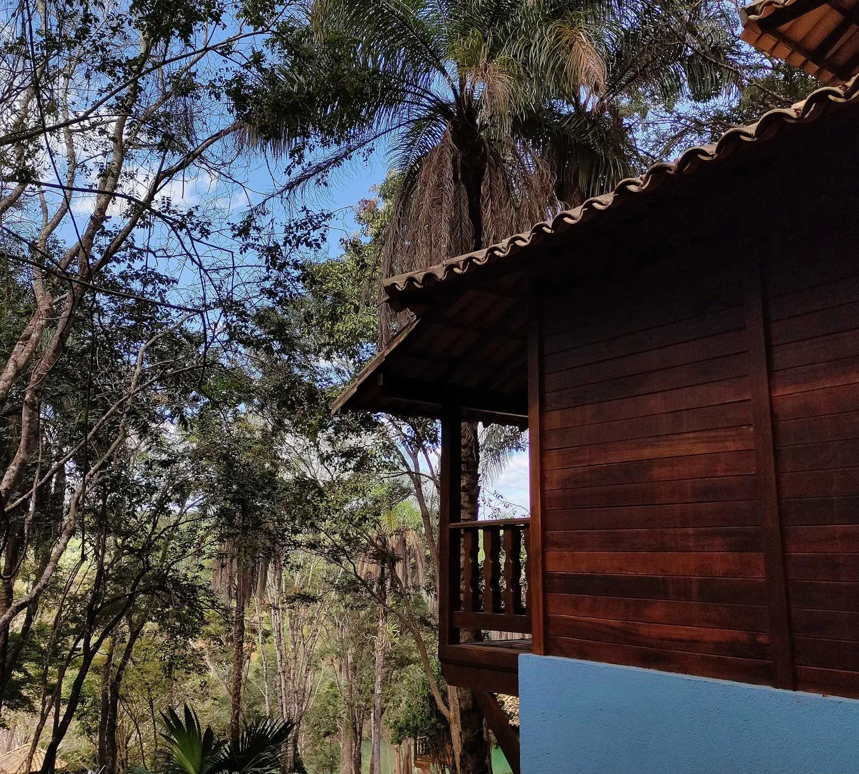 Chalé Palmeira Imperial — foto 2